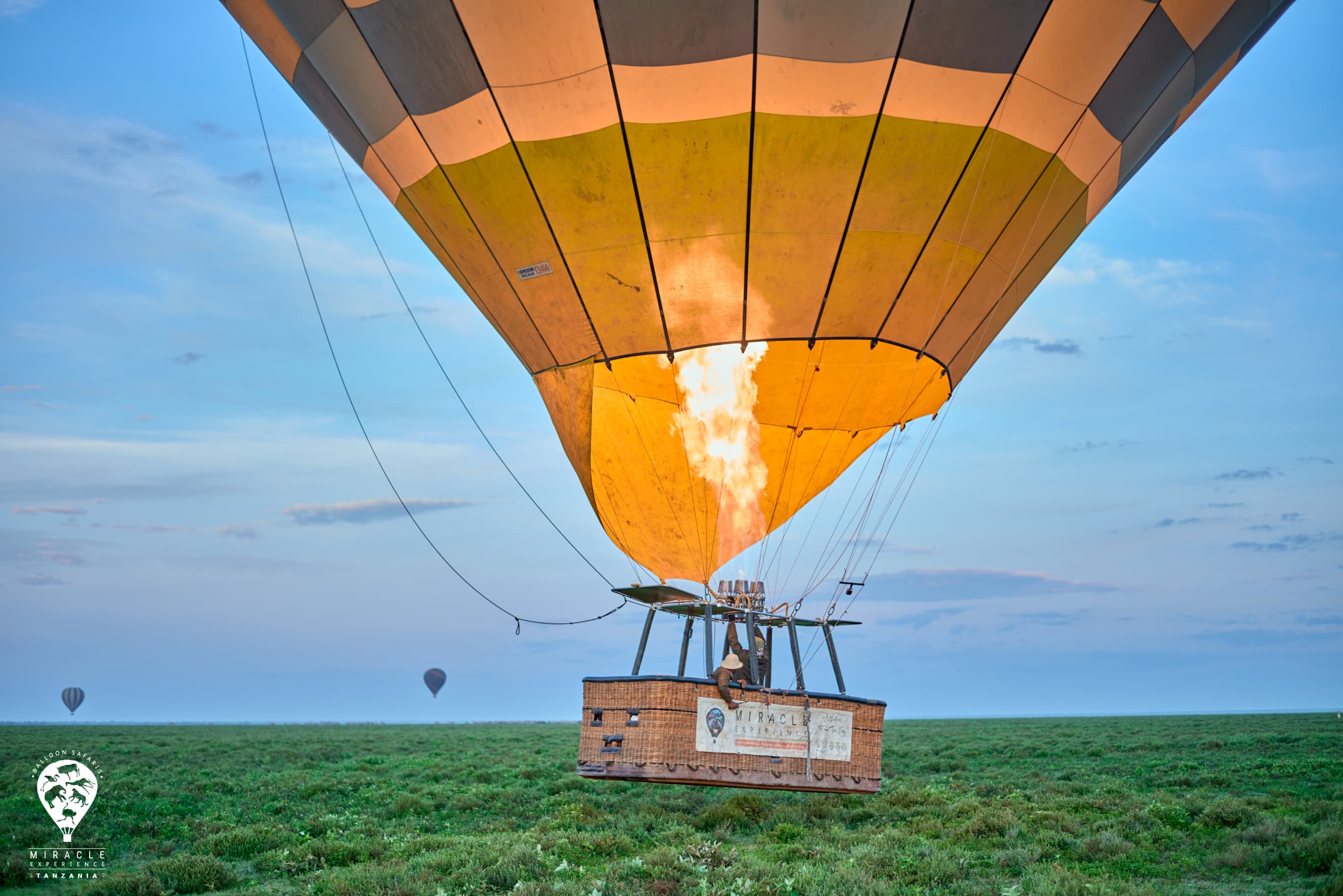 WhatsApp Image 2024-01-31 at 5.46.43 PM (1)