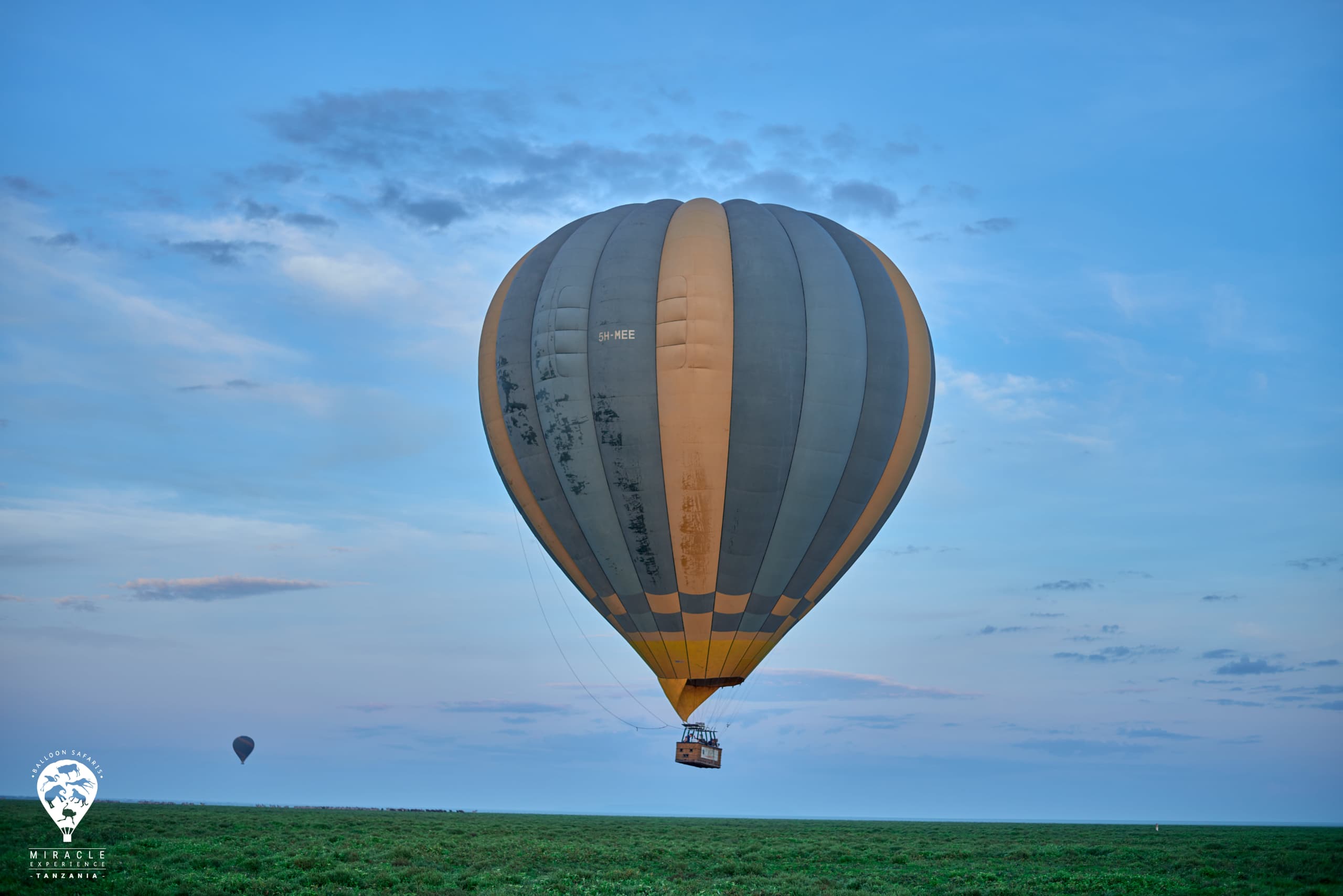 WhatsApp Image 2024-01-31 at 5.46.43 PM