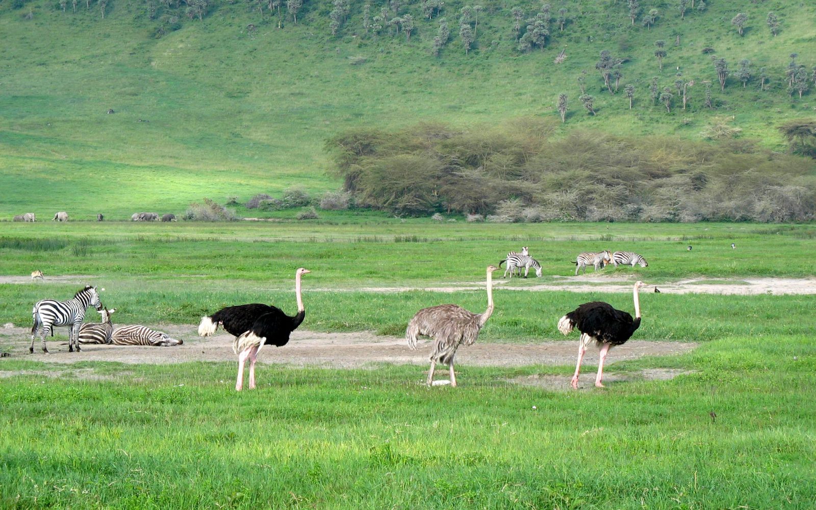 shutterstock_1063610924