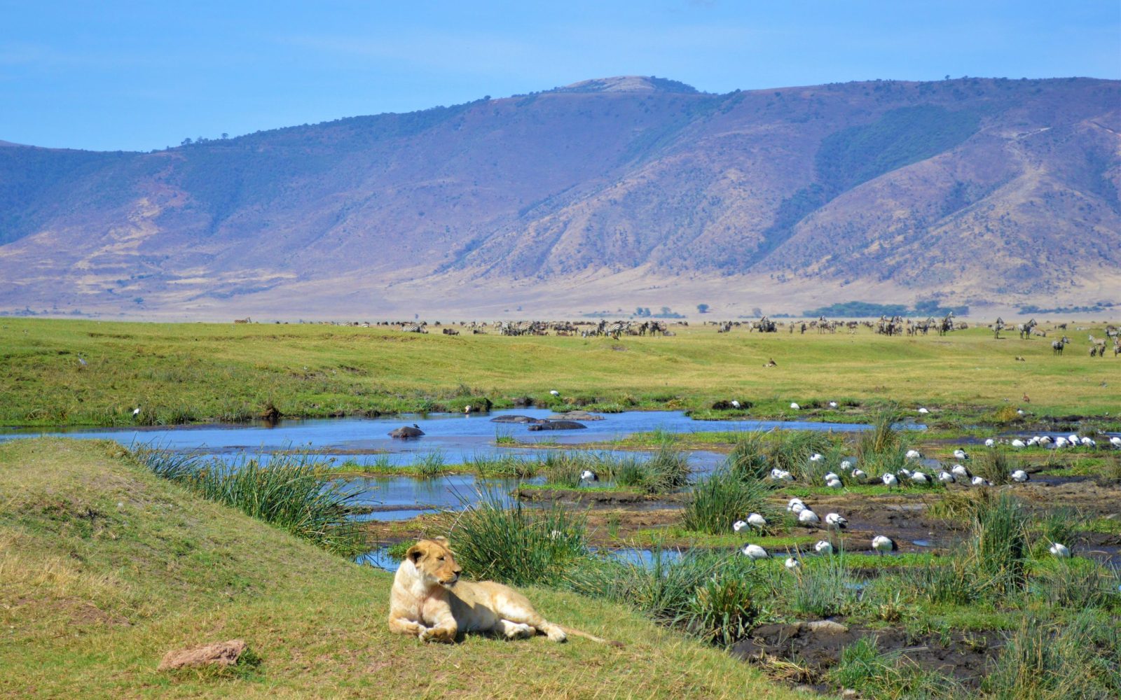 shutterstock_1067881838