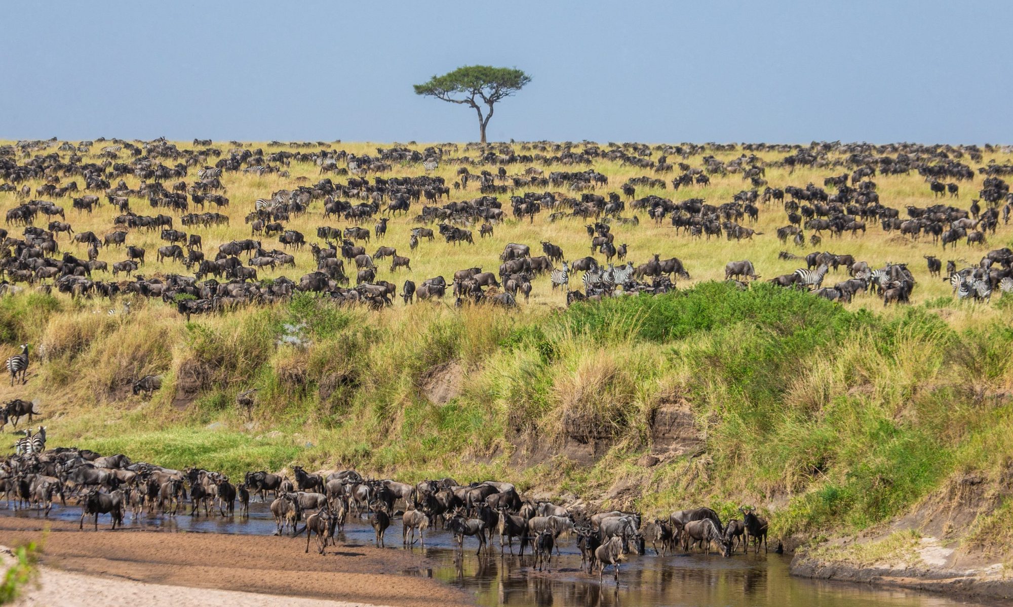 shutterstock_1199805823