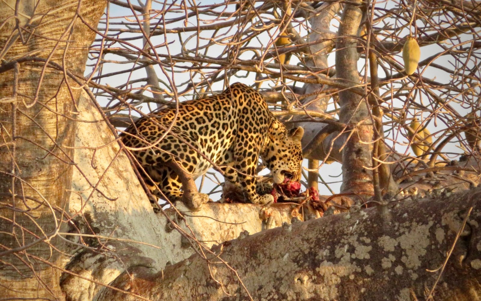 shutterstock_1318392695