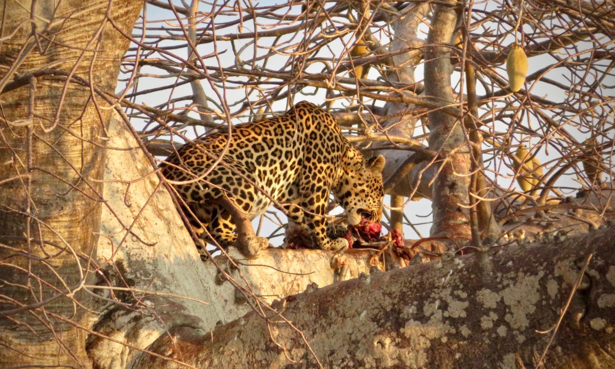 shutterstock_1318392695