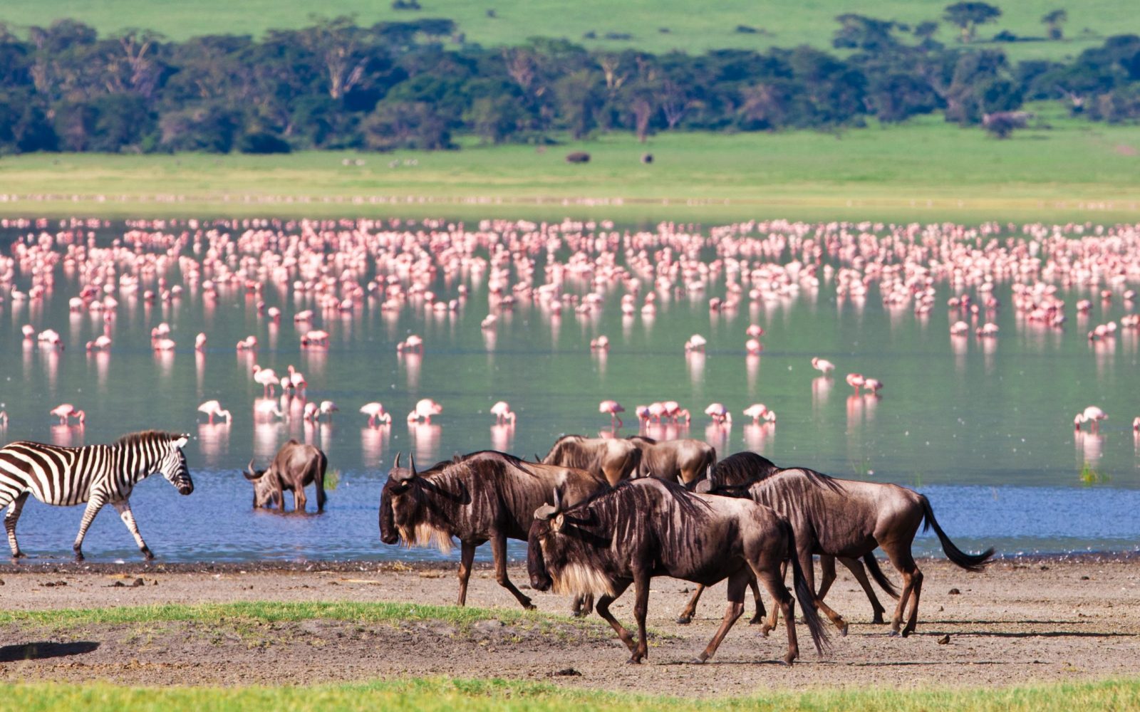 shutterstock_171301931