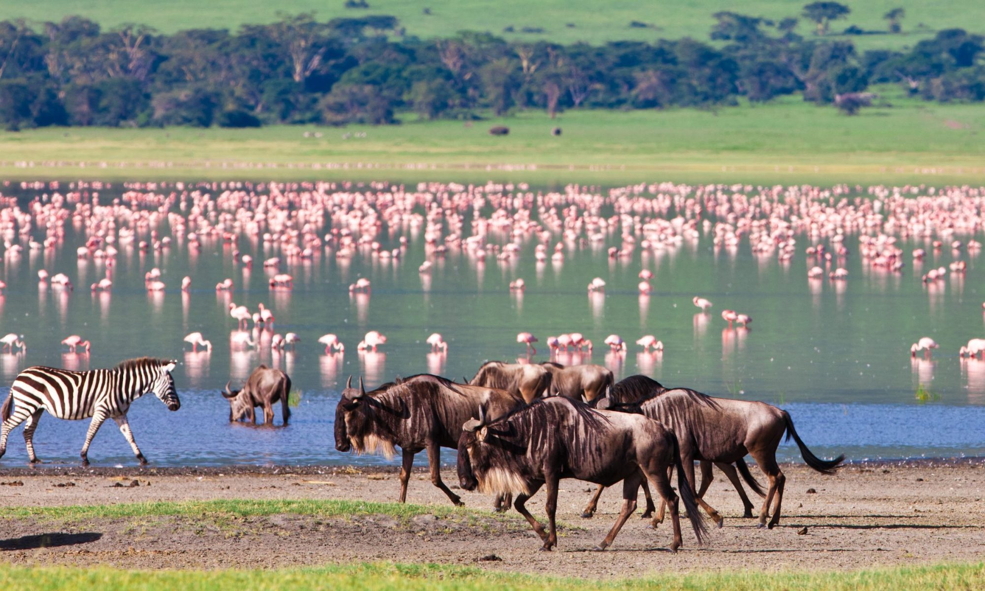 shutterstock_171301931