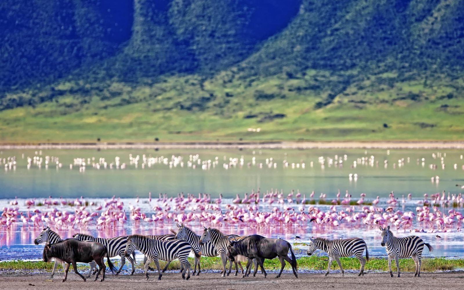 shutterstock_212602420