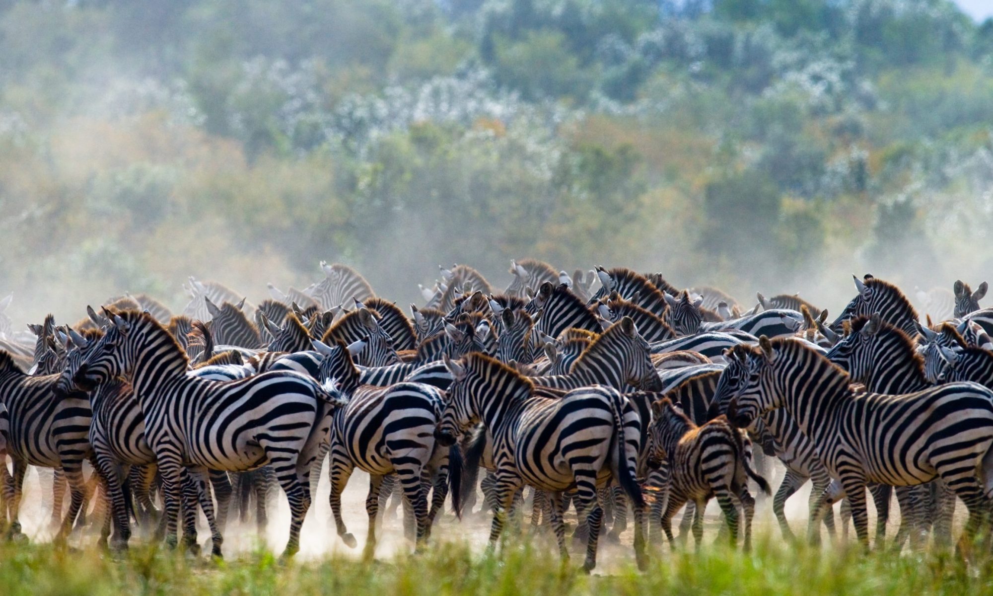 shutterstock_368818508