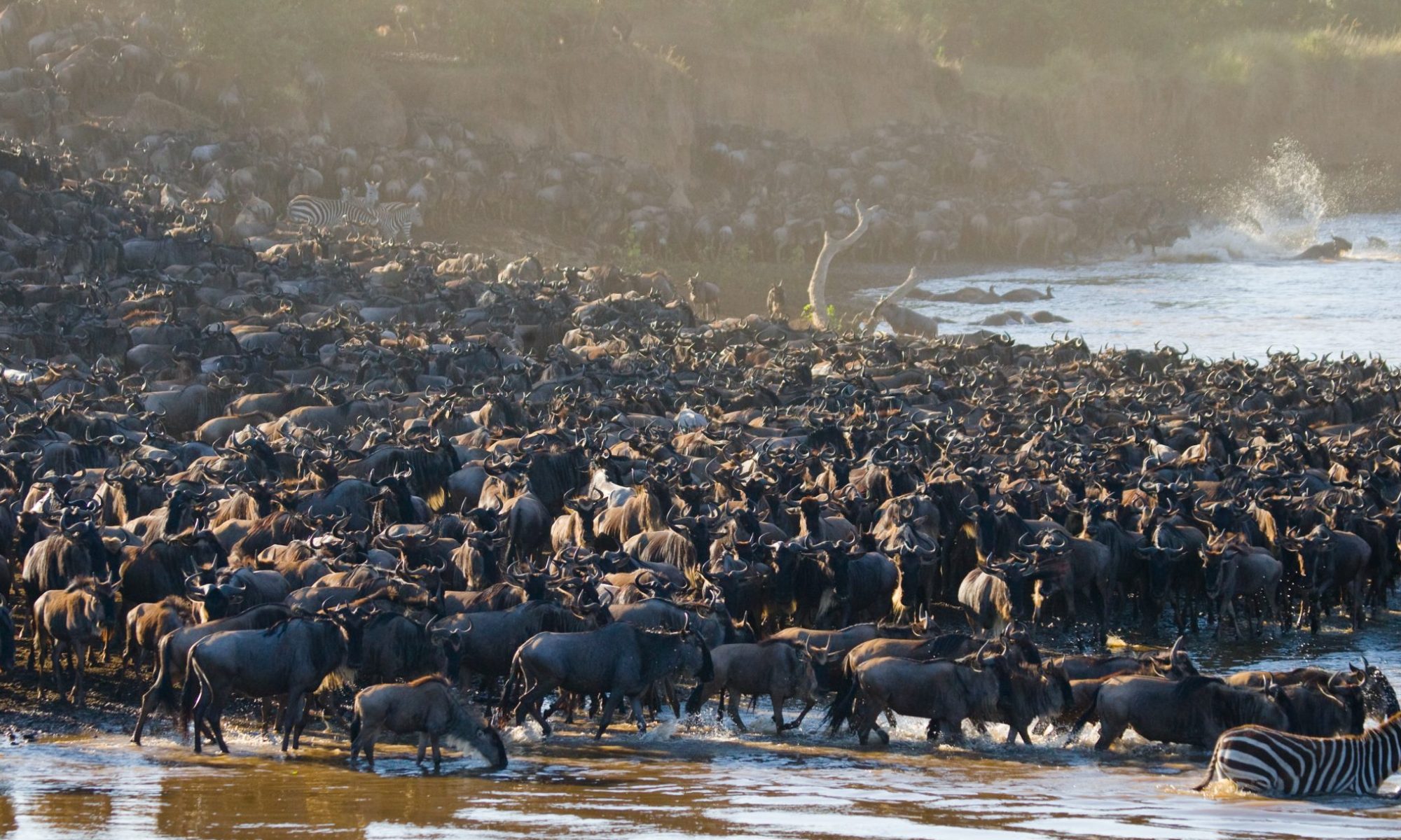 shutterstock_399819553